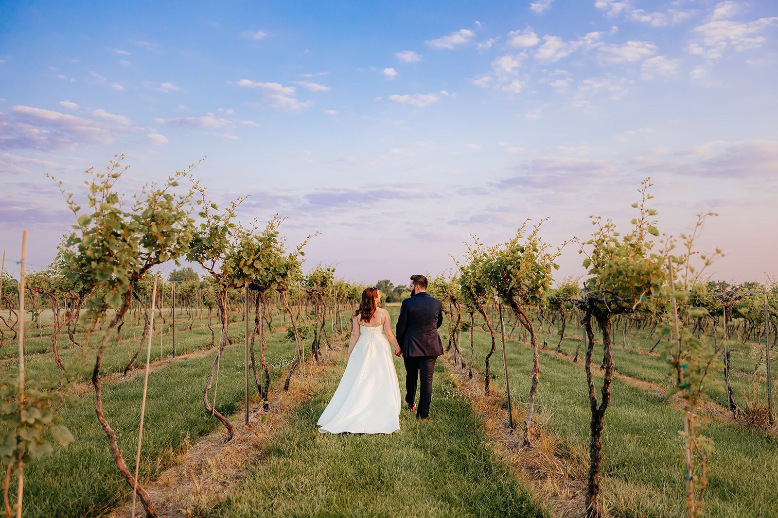 Couple walking hand in hand down a vineyard path; bride in white gown, groom in navy suit, blue sky.