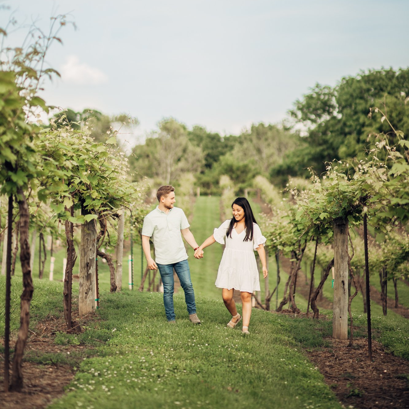 Engaged couple holds hand and walks in vineyard
