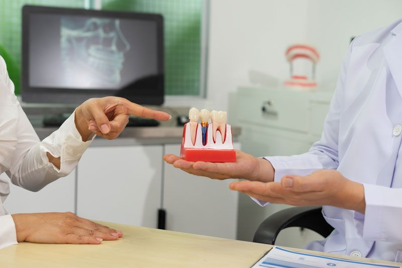 The dentist explains dental implants using a model in a dental clinic.