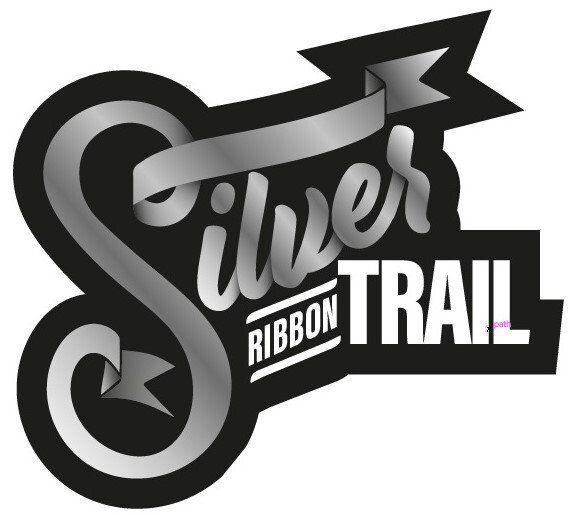 silver ribbon icon