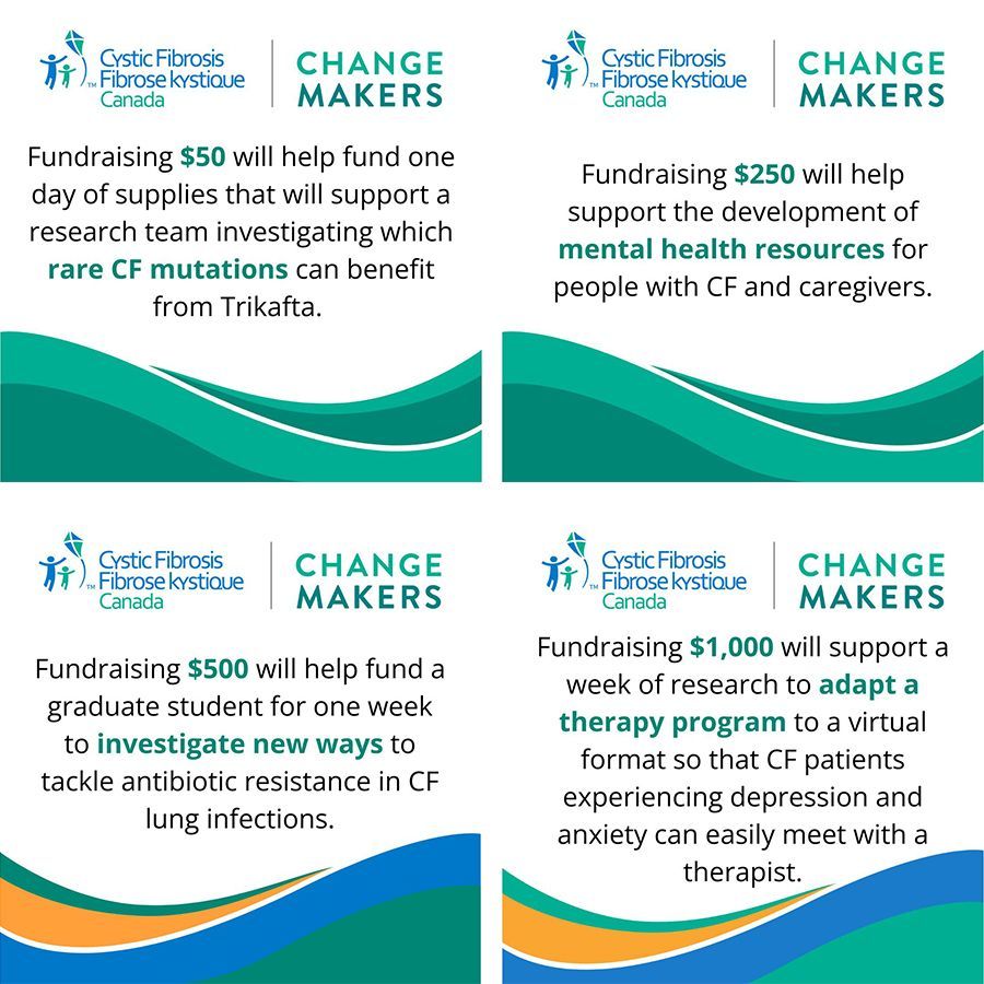 Graphics showing the impact of donations ranging from $50 to $1000