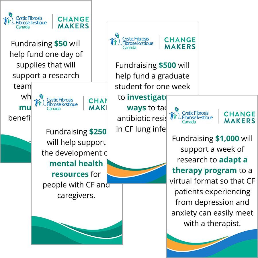 Graphics showing the impact of donations ranging from $50 to $1000