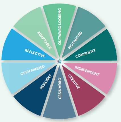 A pie chart showing different types of people