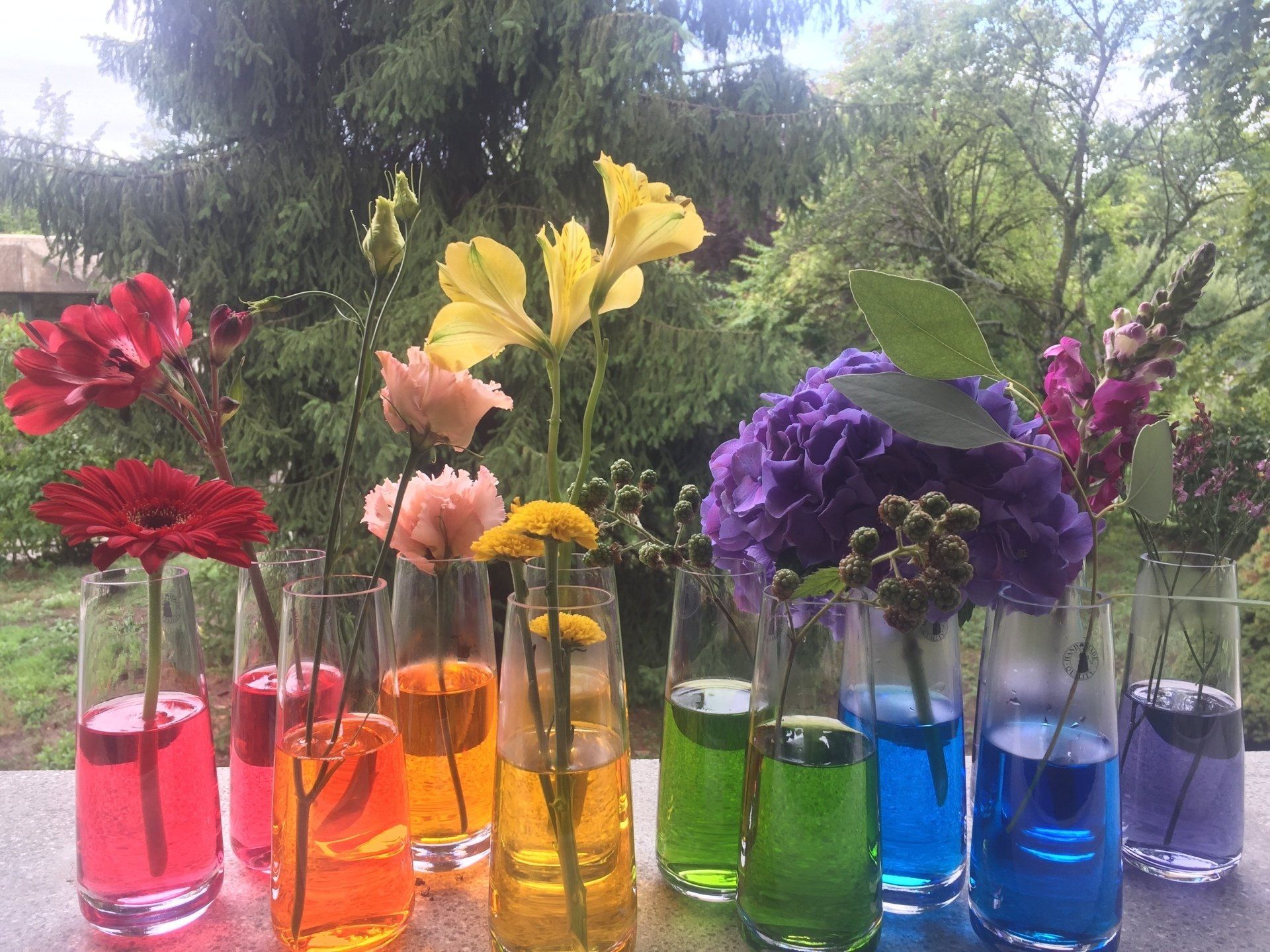 Blumen in bunten Töpfen