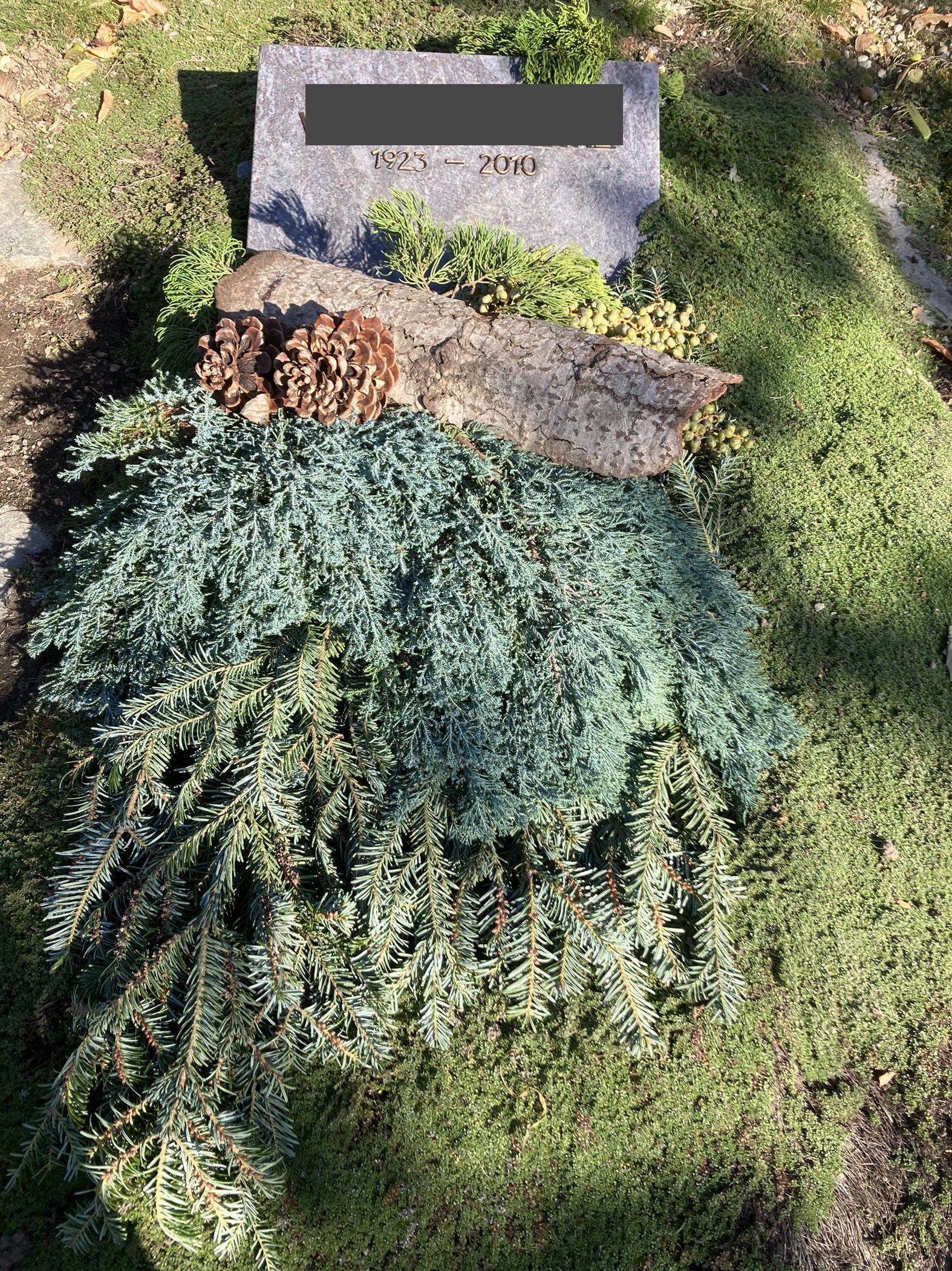 Koniferen-Zusammensetzung für Grabschmuck