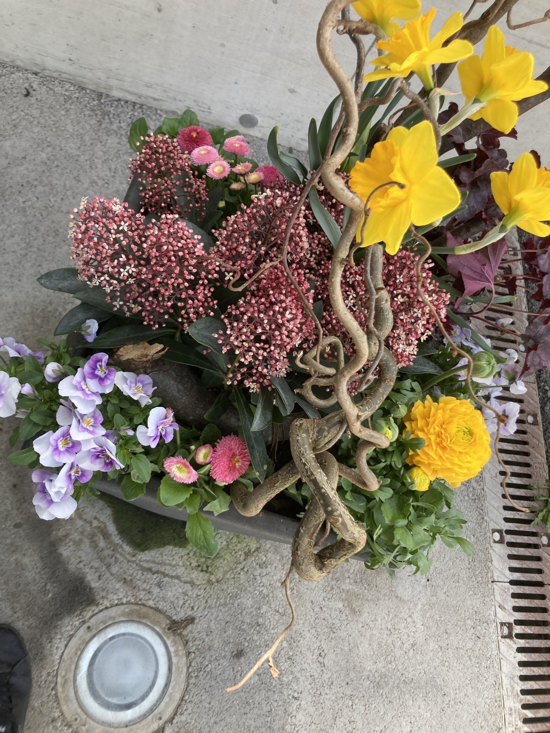 Blumenarrangement mit Krummholz