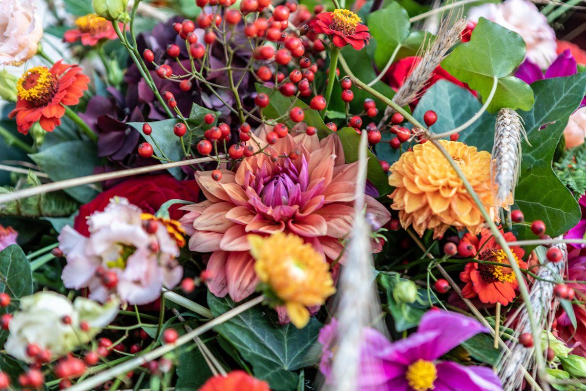 Allgemeine Floristik