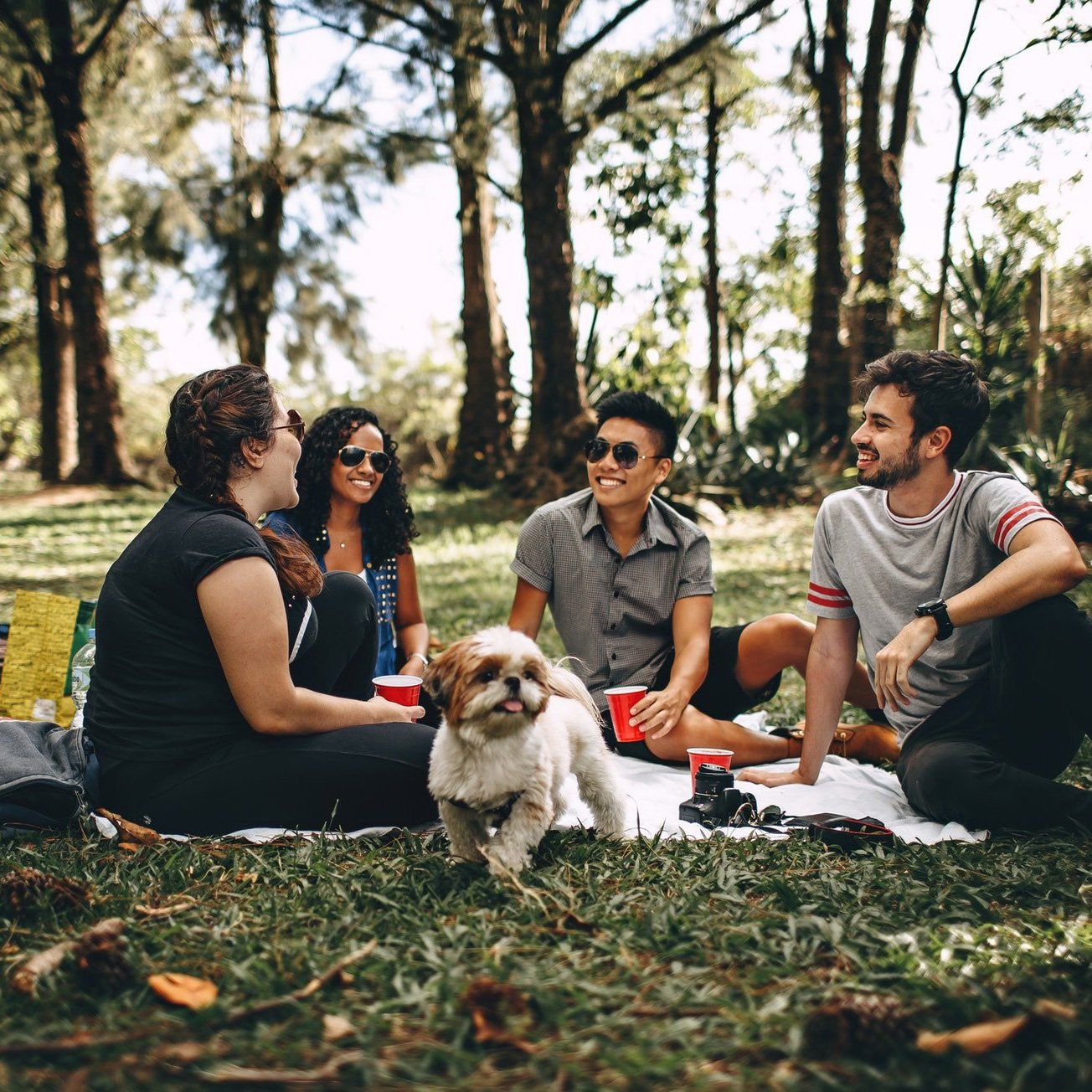 A group of people are having a picnic in the park with a dog.