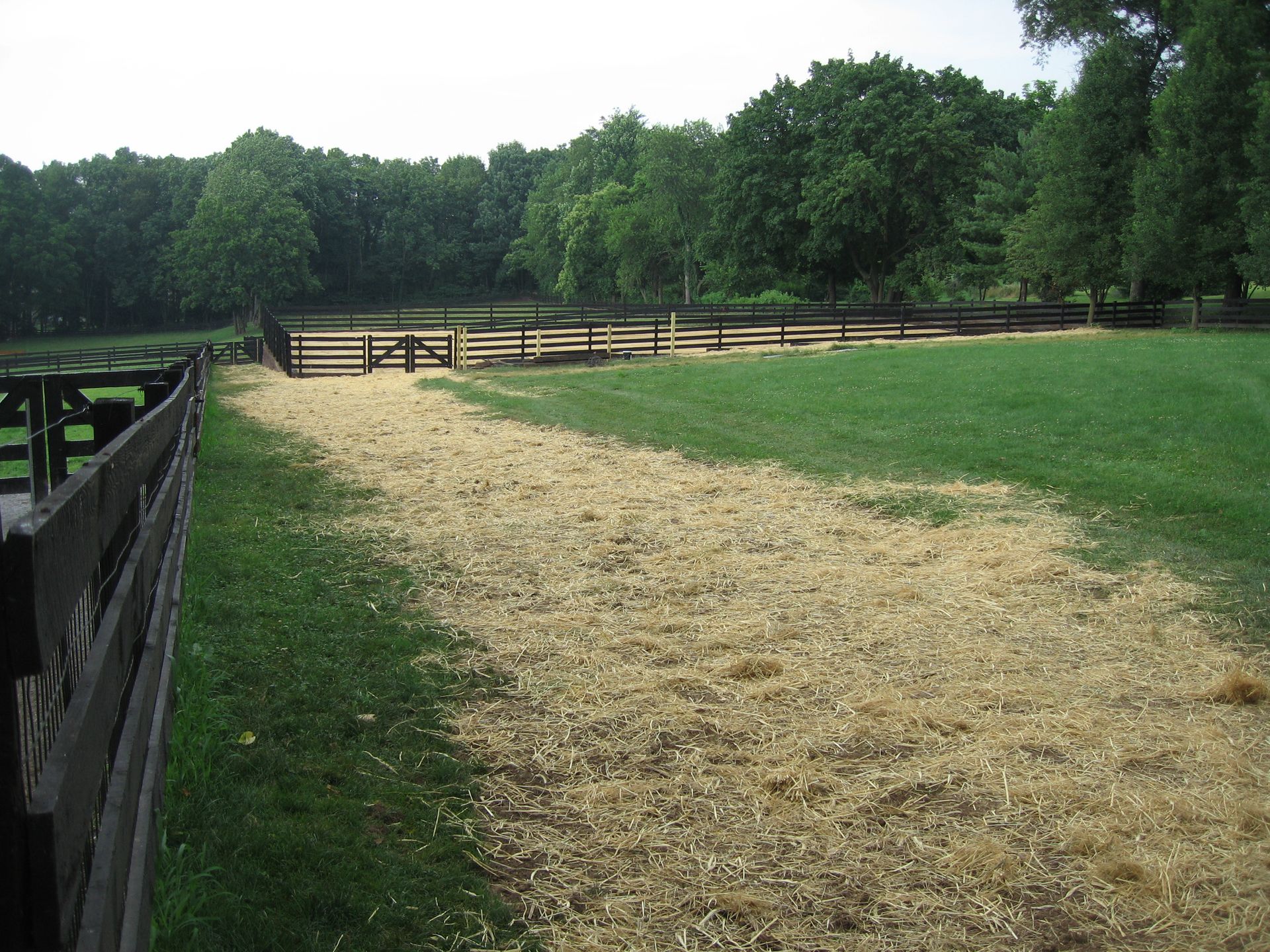 A wooden fence surrounds a grassy field with trees in the background