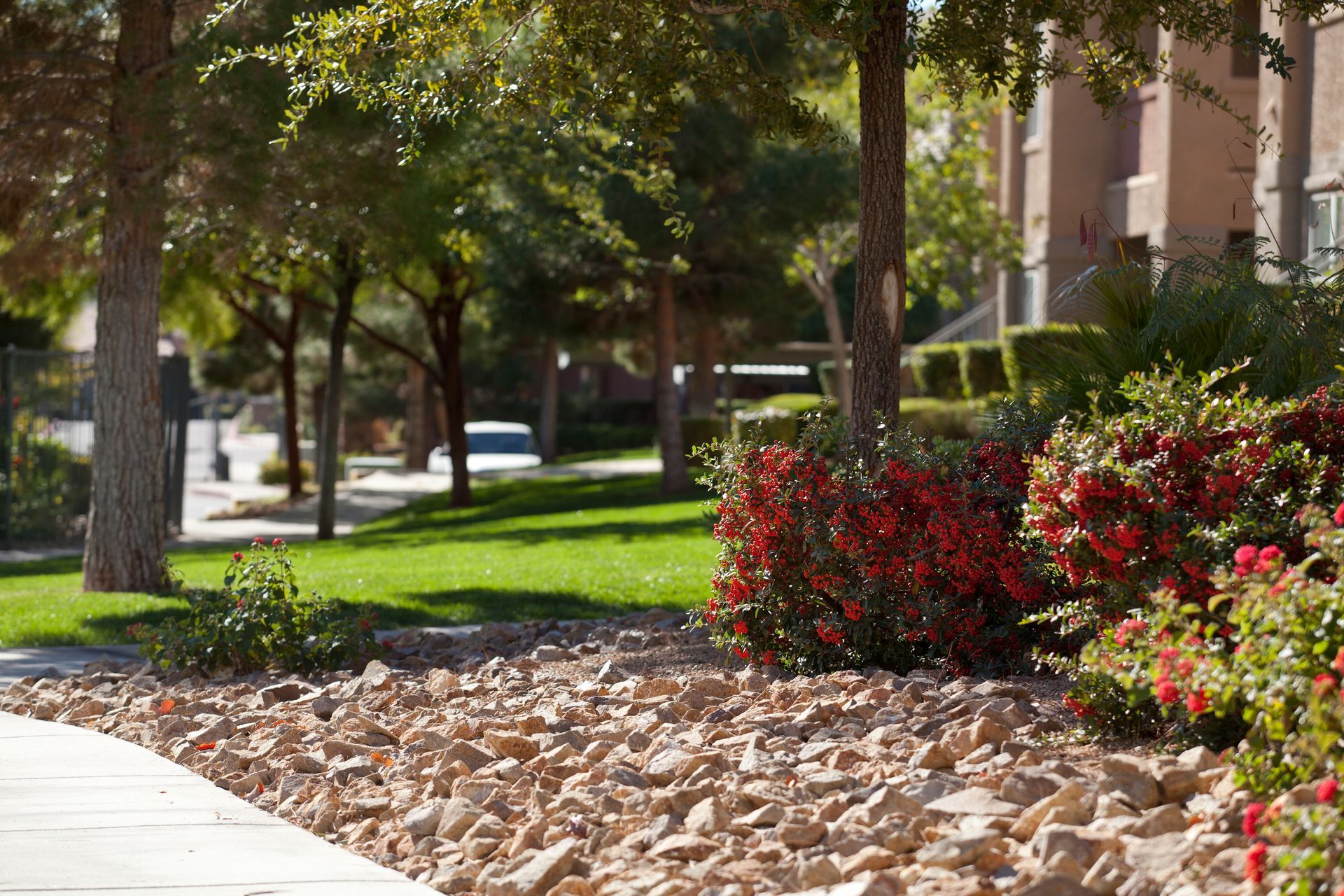 A sidewalk leading to a park with trees and flowers