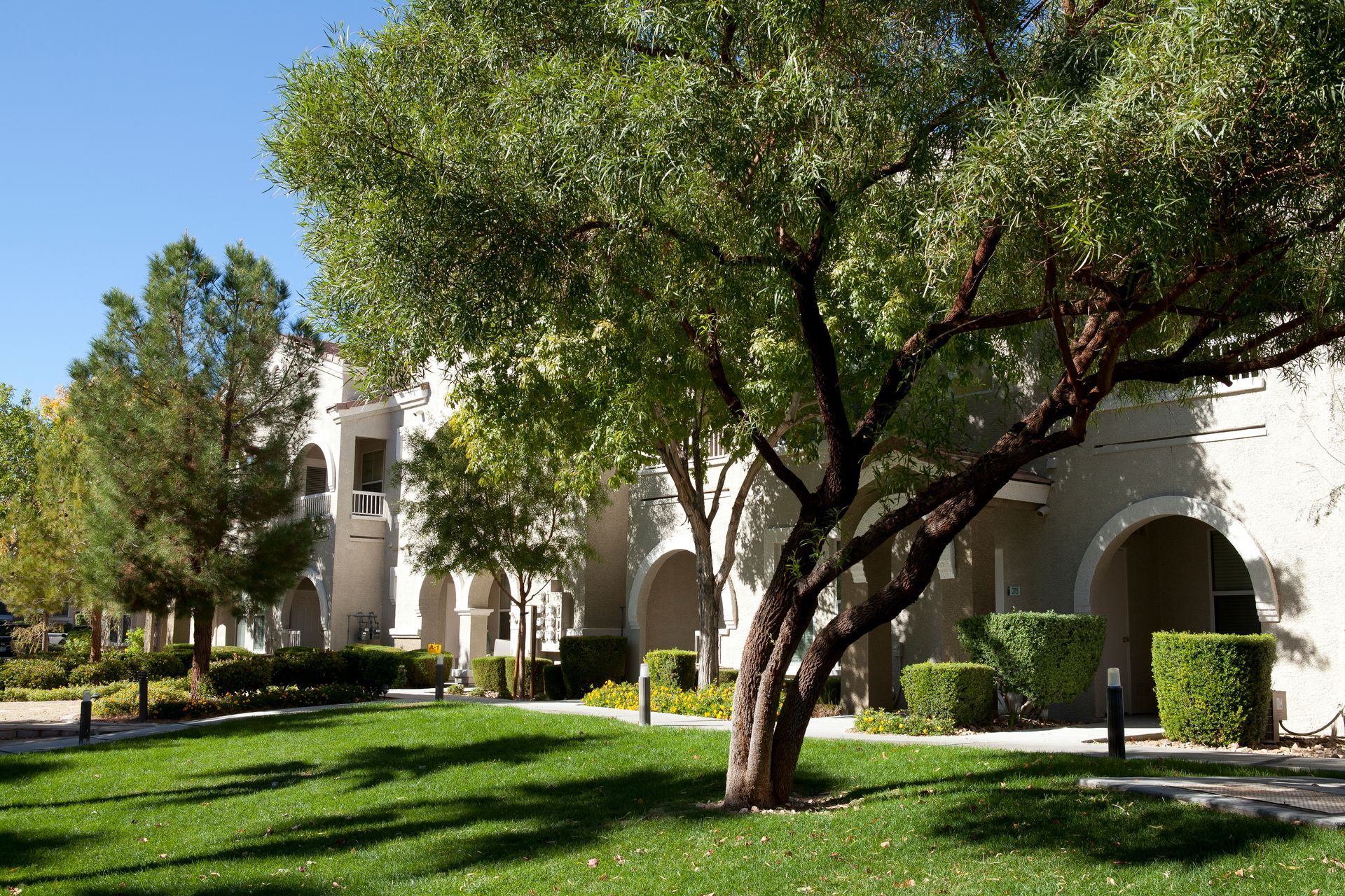 A large white building with a lush green lawn in front of it
