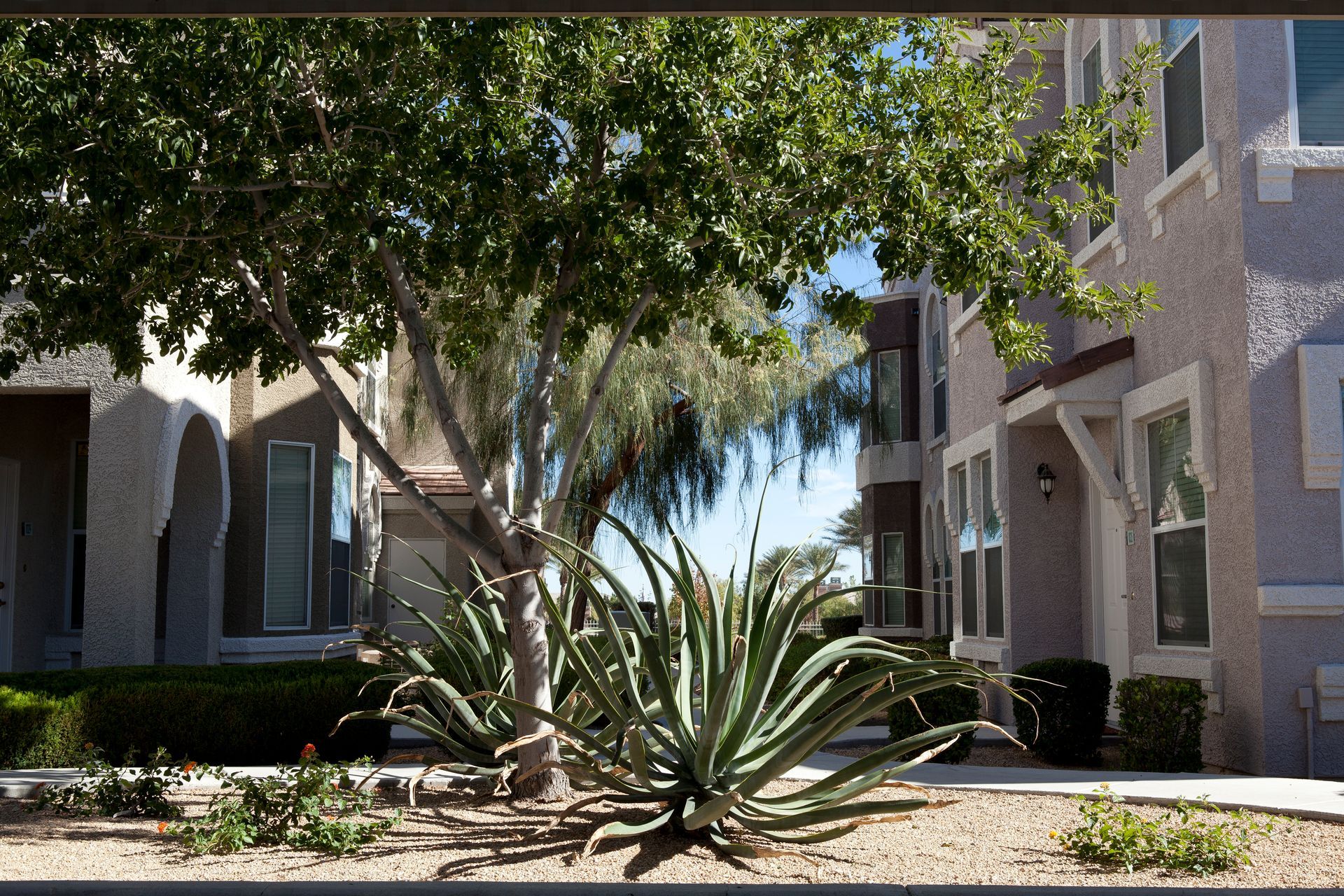 A building with a tree in front of it