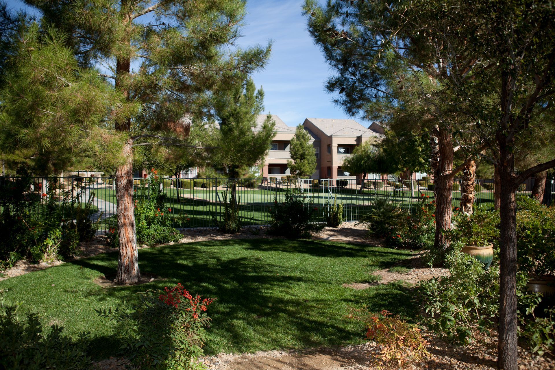 A lush green park with trees and a building in the background