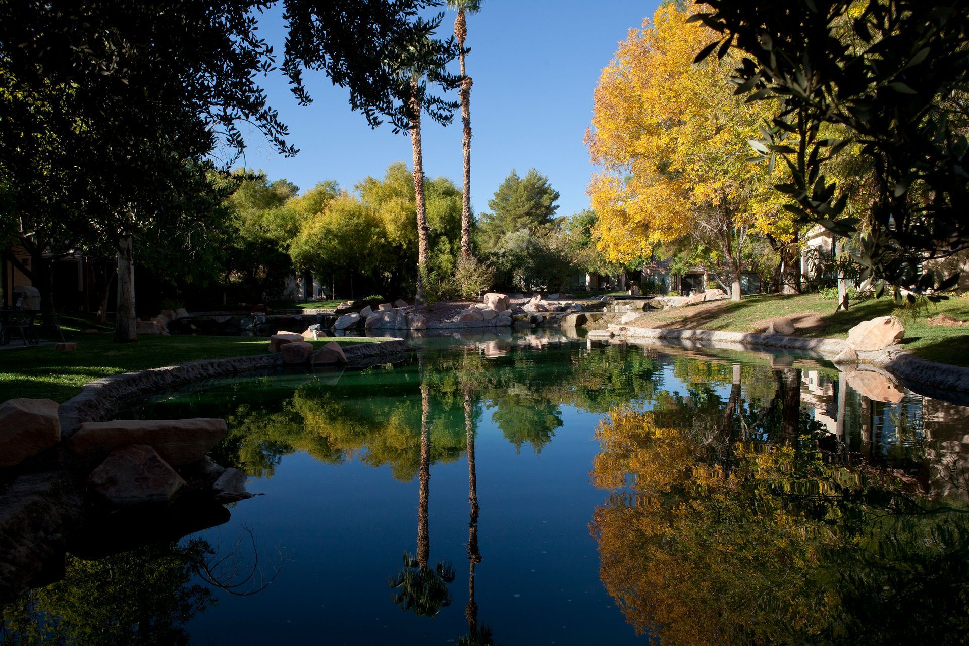 A pond in a park with trees reflected in the water