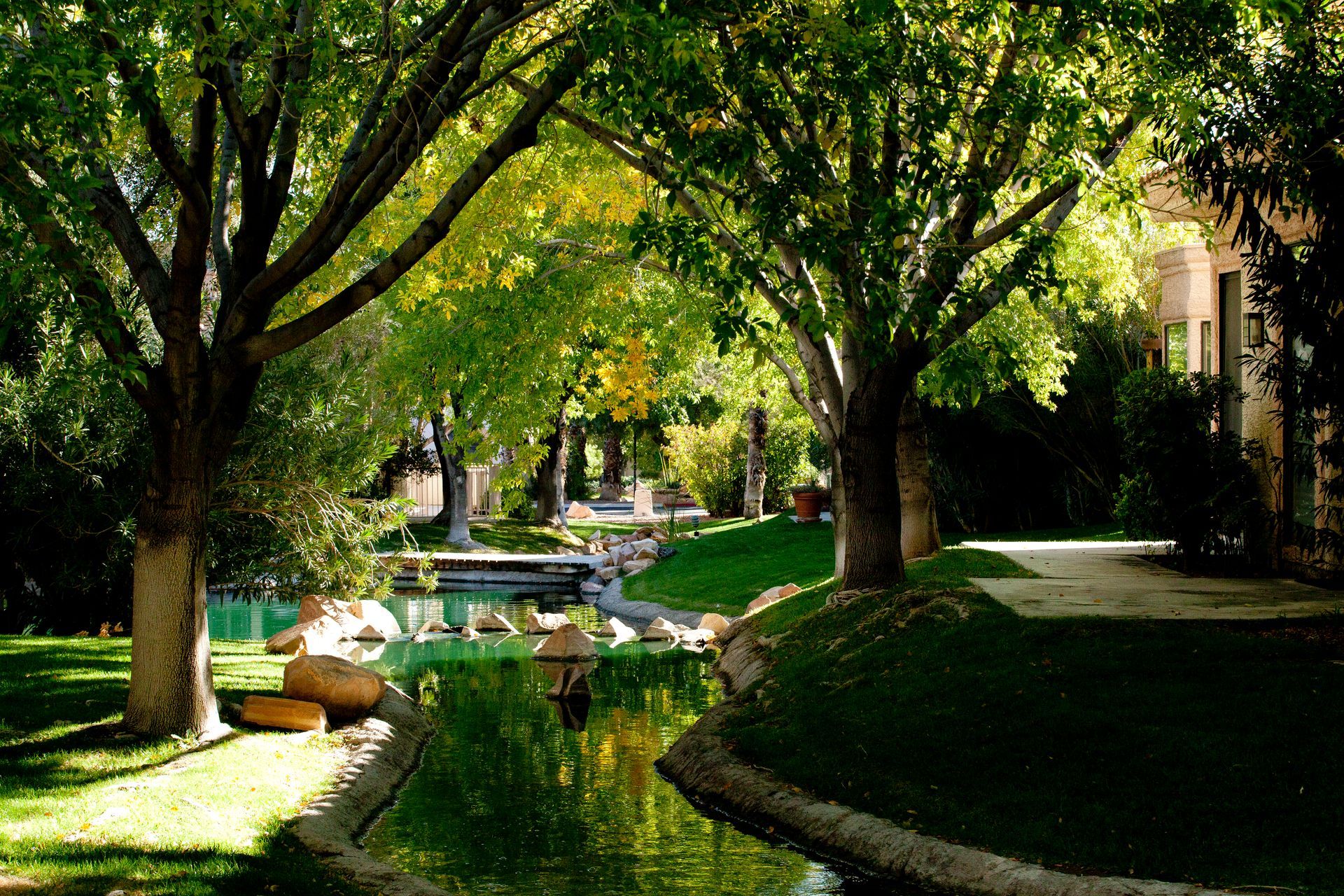 A pond in a park surrounded by trees and grass