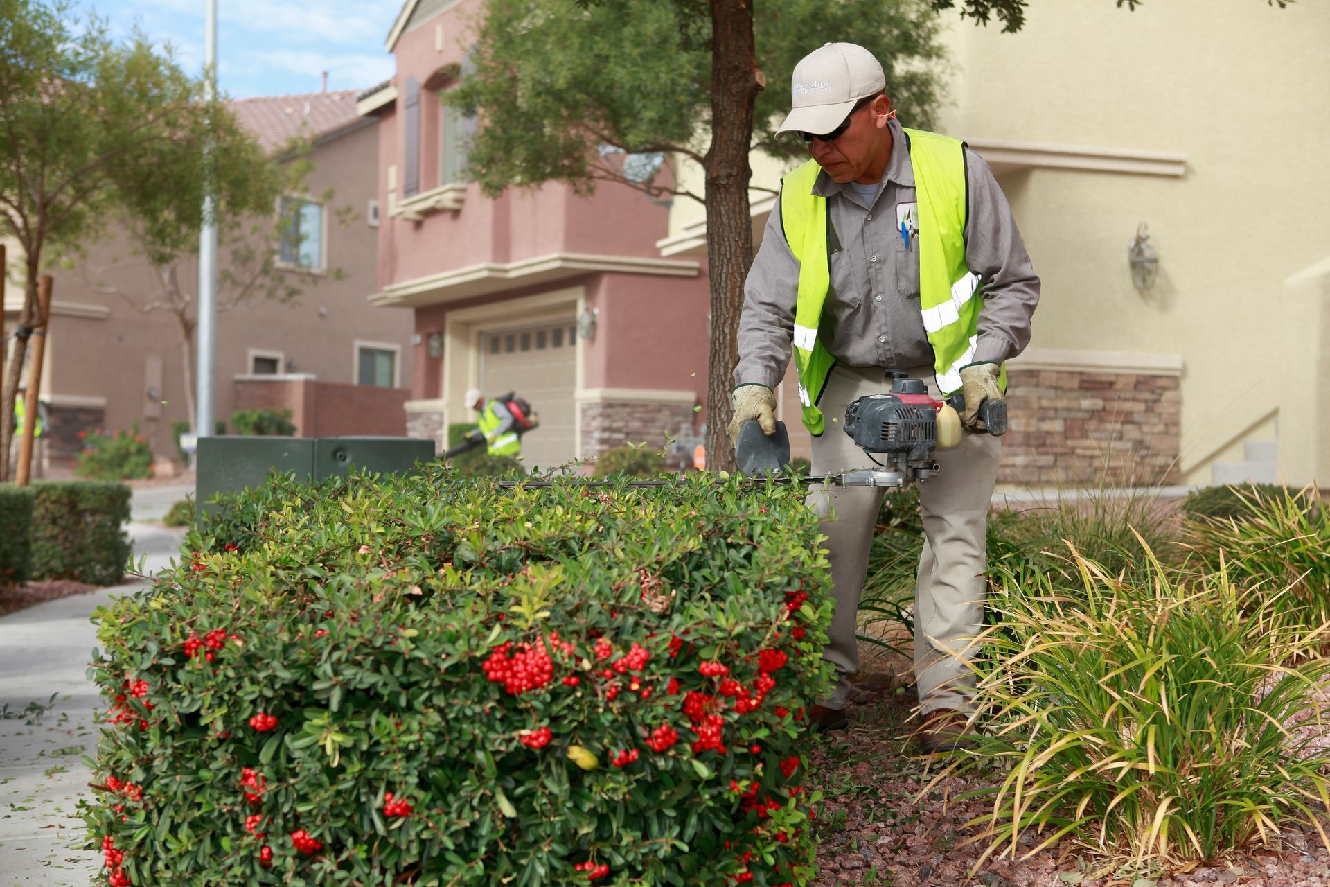 A man is cutting a bush with a hedge trimmer.