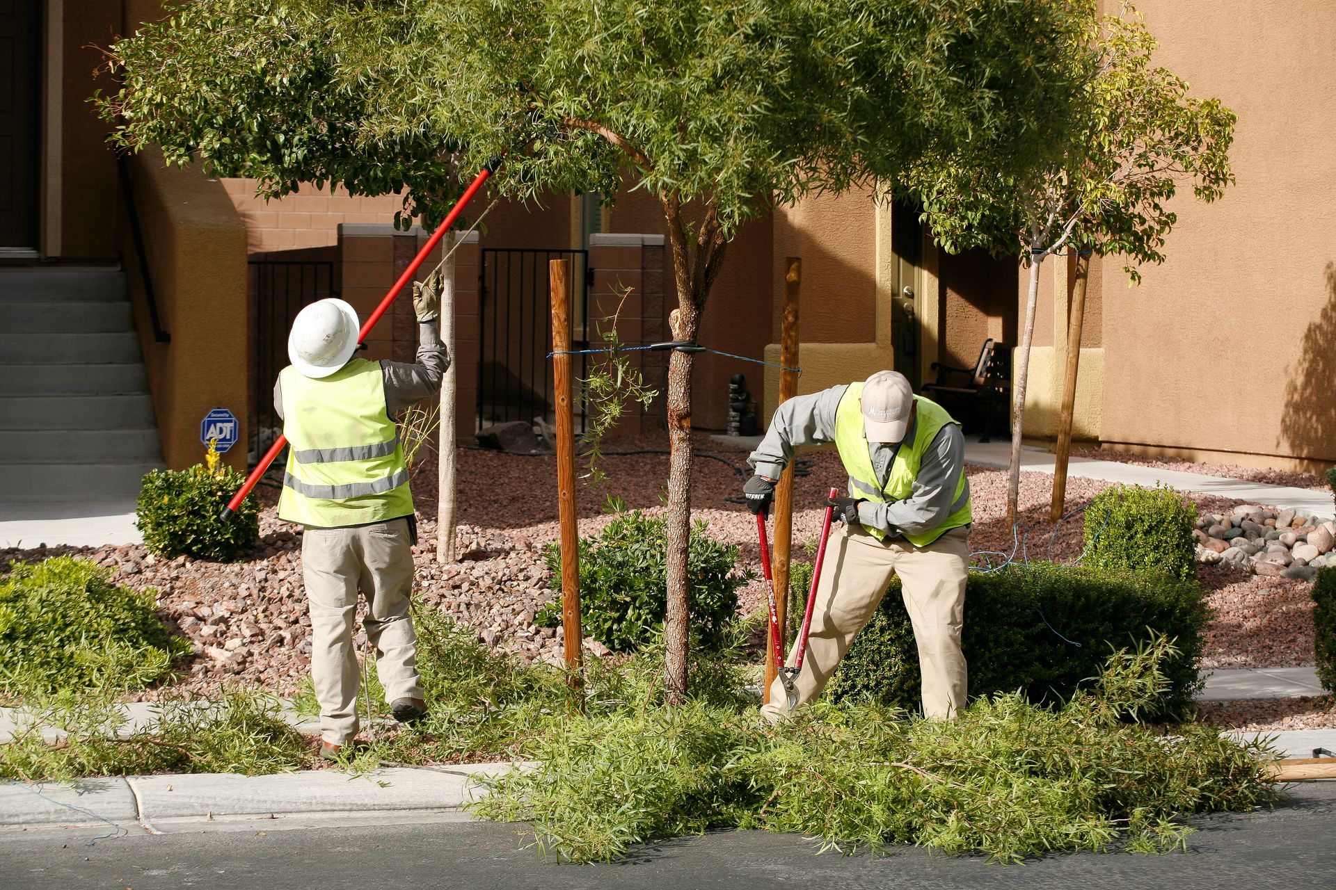 Two men are working on a tree in front of a building