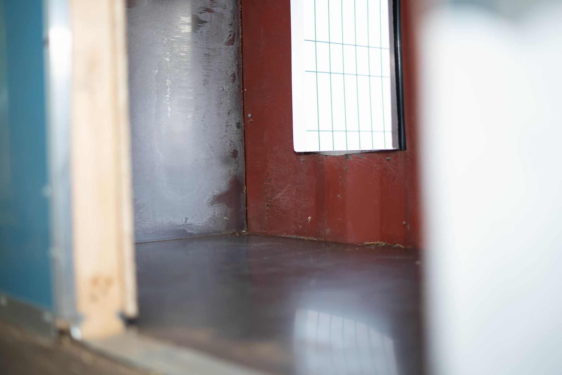 Spacious Dog Room — Middleborough, MA — G-Force Kennels