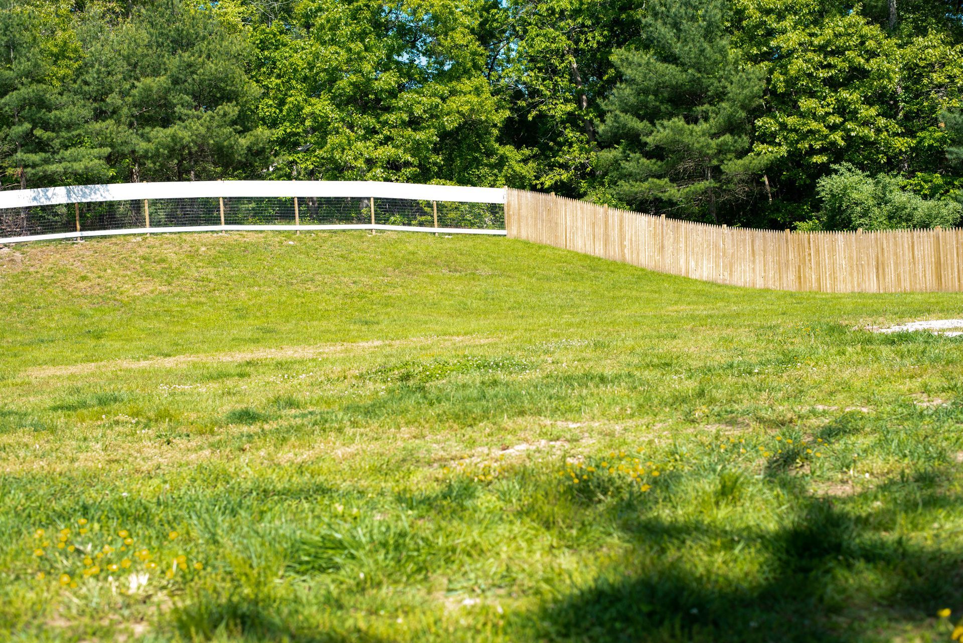 Clean Lawn — Middleborough, MA — G-Force Kennels