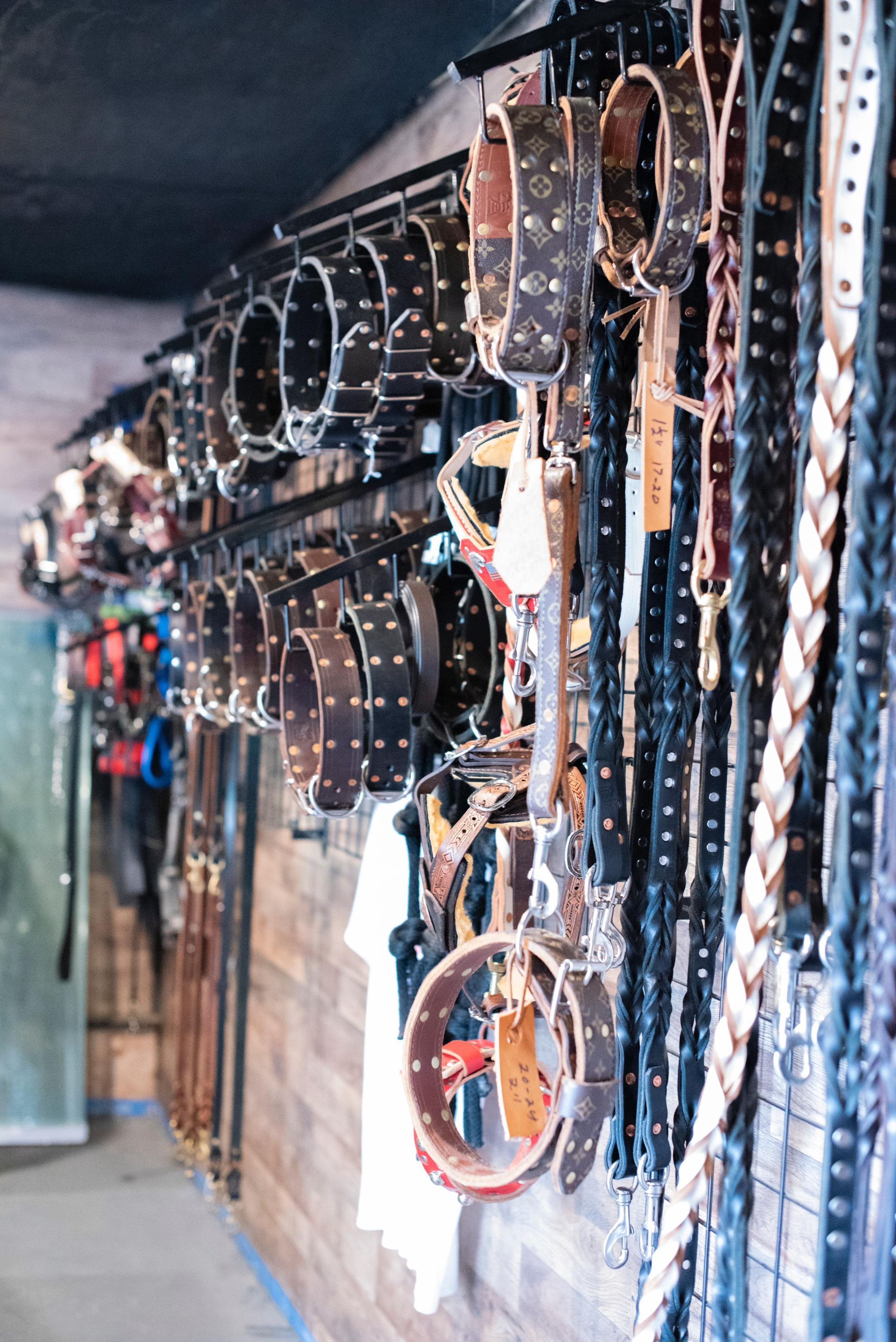 Dog Belt — Middleborough, MA — G-Force Kennels