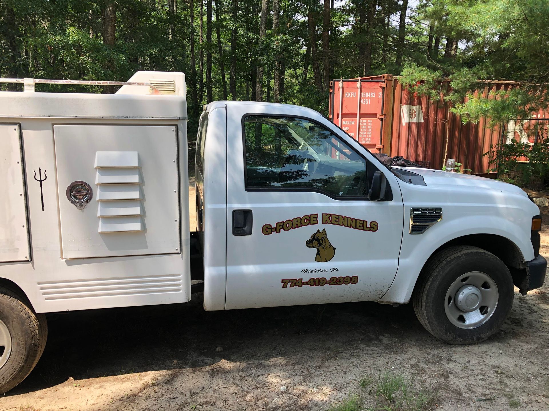 Dogs Traveling by Airplane — Middleborough, MA — G-Force Kennels