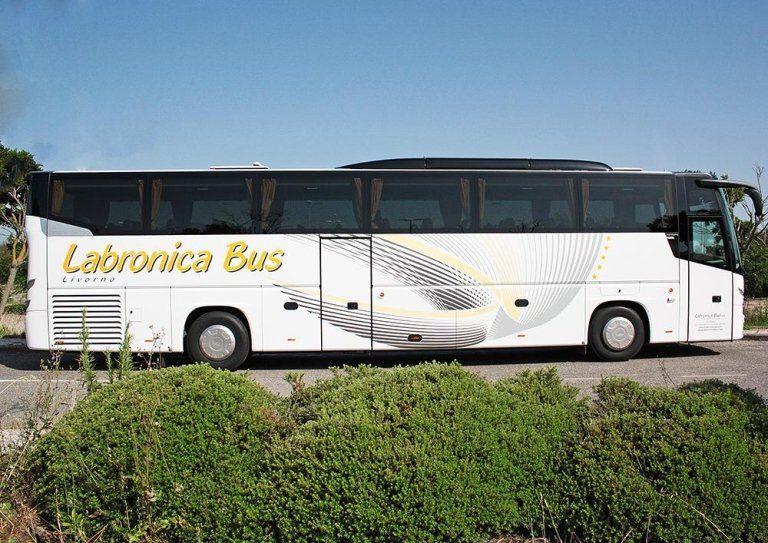 Vista laterale del disegno di ali del Pullman