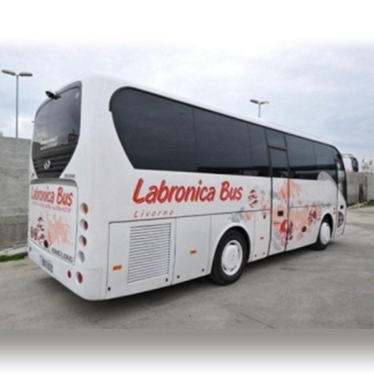 Vista posteriore di un Pullman bianco con disegno rosa e rosso nel laterale e la parte posteriore