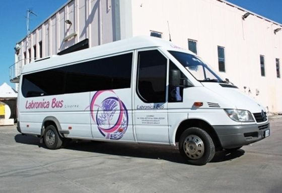 Minibús blanco con dibujo lateral rosa y morado