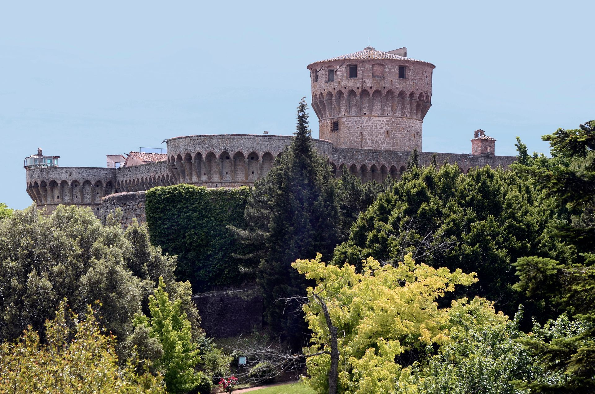 Una fortezza medievale in pietra, con un'imponente torre circolare, sorge in cima a una collina, incorniciata da rigogliosi alberi verdi contro un cielo pallido. Volterra