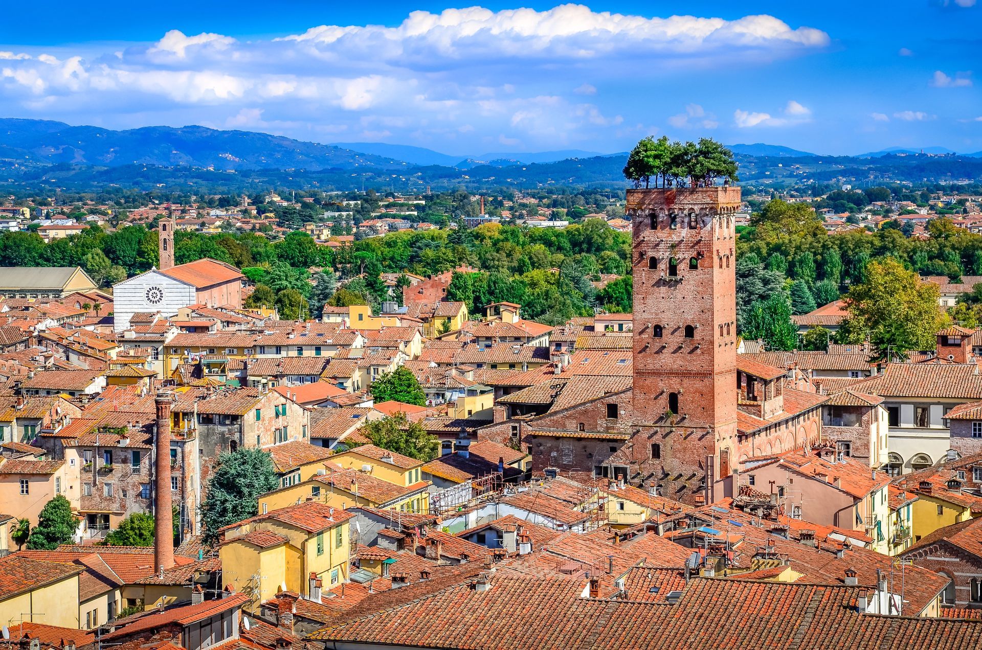 Veduta aerea di Lucca, in Italia, con l'iconica Torre Guinigi sormontata da alberi in un paesaggio urbano densamente edificato e caratterizzato da edifici in terracotta.