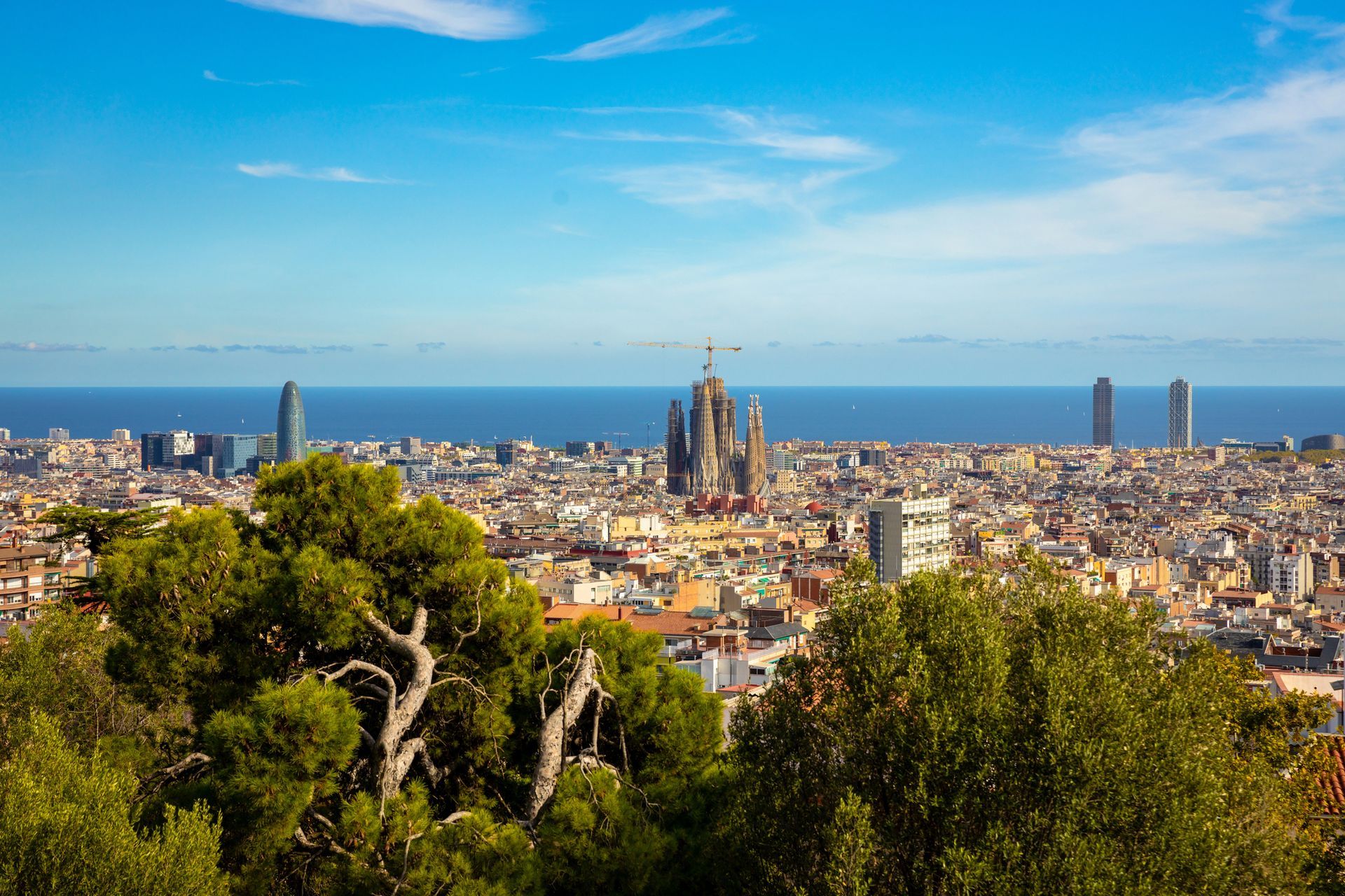 Una veduta panoramica della città di Barcellona con la Sagrada Família, rigogliosi alberi verdi in primo piano e il blu del Mediterraneo.