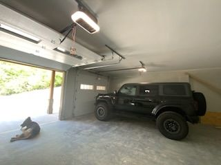 A black jeep is parked in a garage next to a dog.