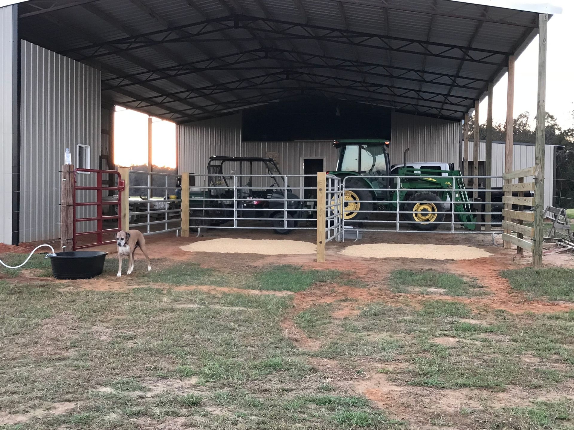 A dog is standing in front of a barn with a tractor in it.