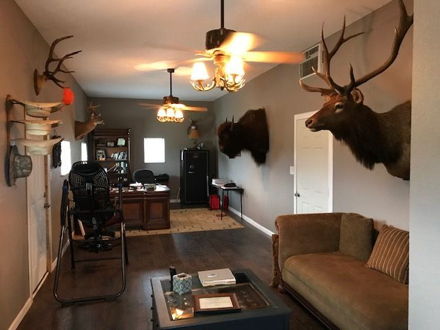 A living room with a couch and two deer heads on the wall