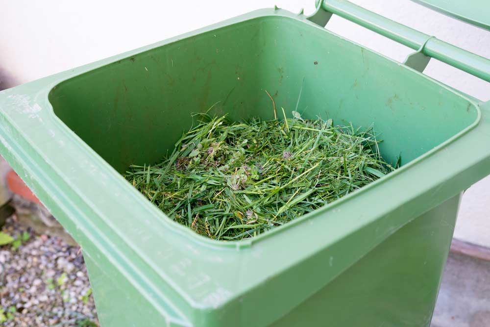 Bin Full of Green Waste — Green Waste Removal in Cairns, QLD