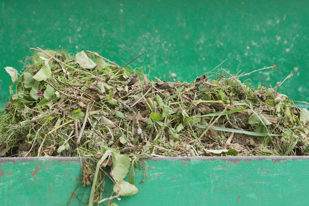Green Waste — Green Waste Removal in Cairns, QLD