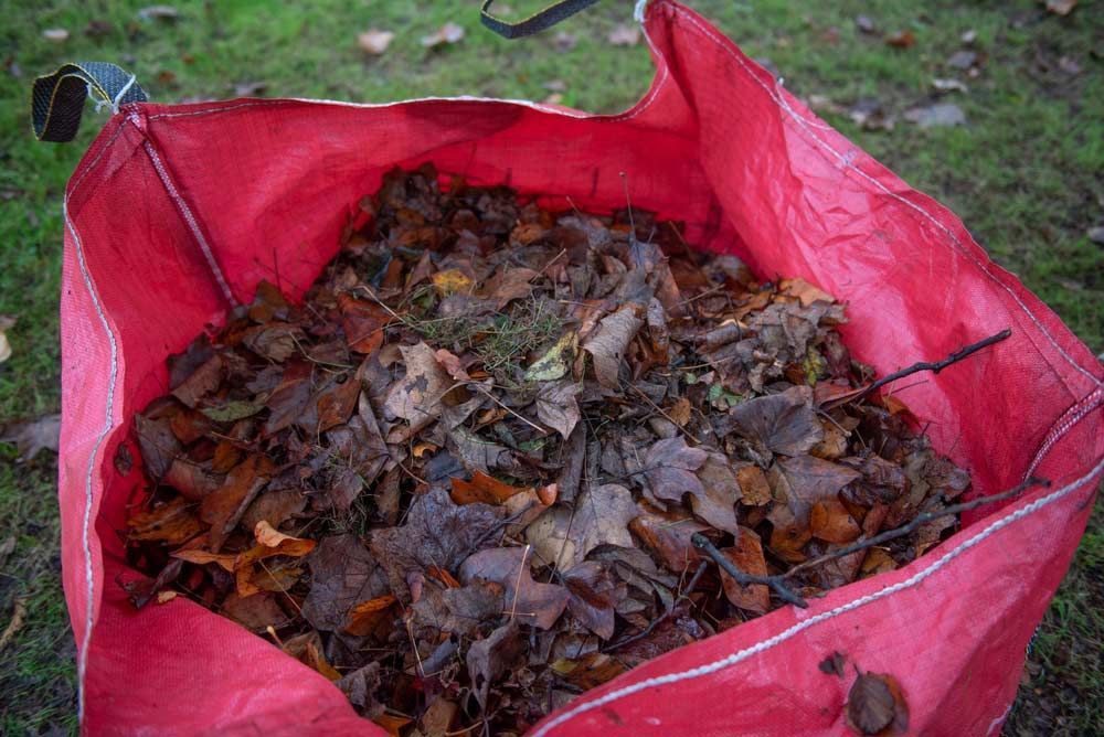Large Red Garden Bag Full of a Pile of Autumn Leaves — Green Waste Removal in Cairns, QLD