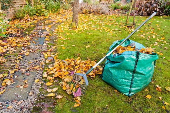 Rake and Sack of Collected Autumn Leaves in a Small Garden — Green Waste Removal in Cairns, QLD