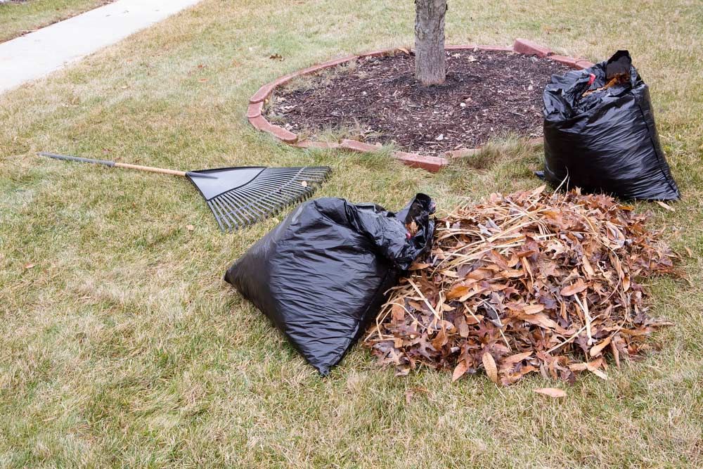 Green Waste Collection in Cairns All Suburbs Garden Bags