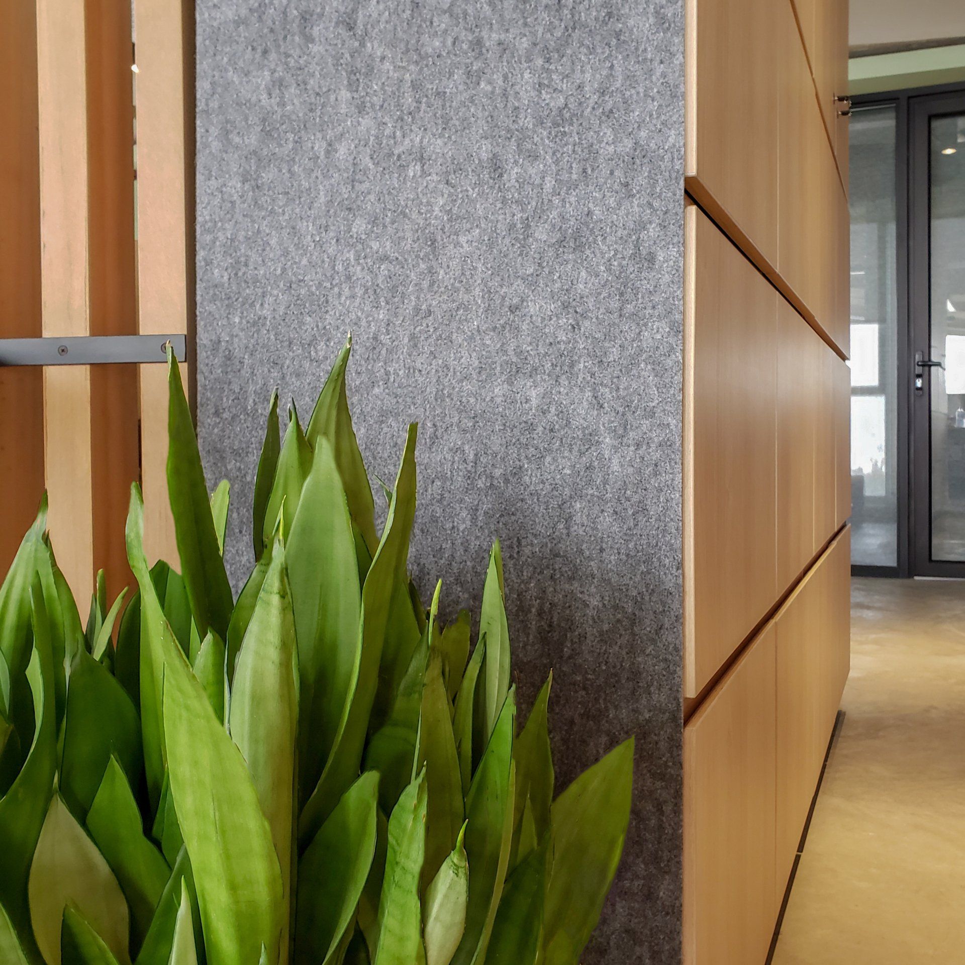Una planta está creciendo junto a una pared en un pasillo.