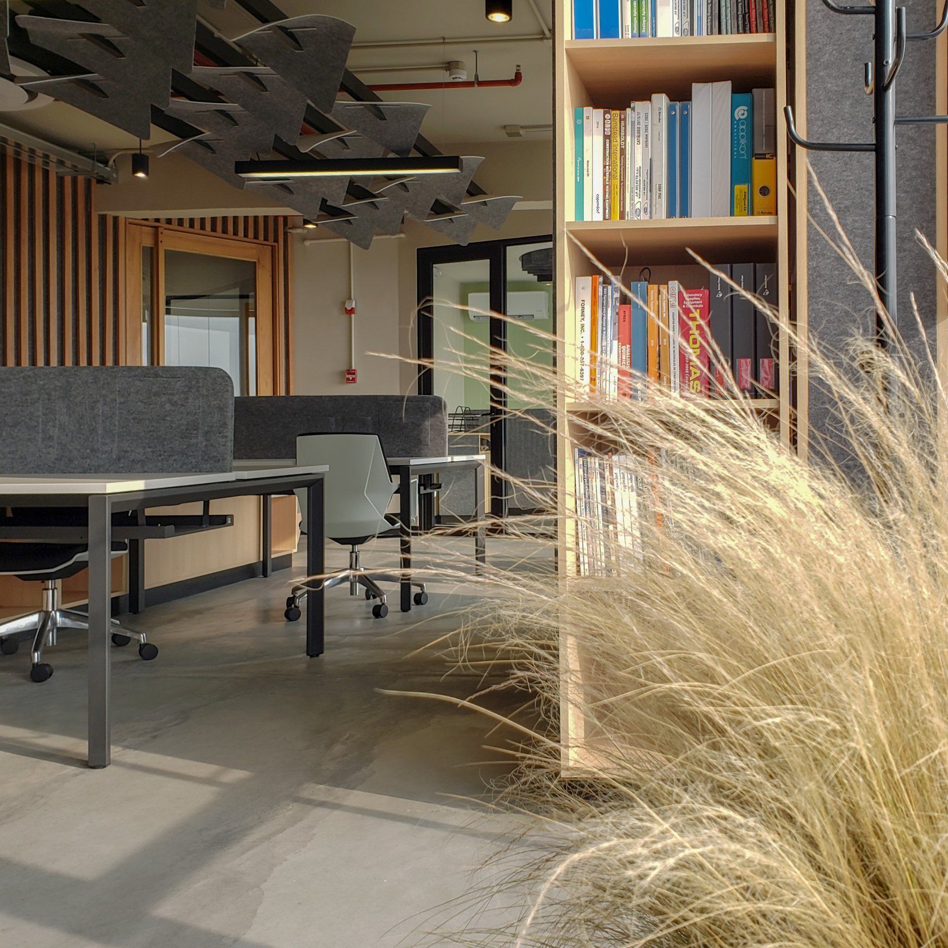 Una habitación con un estante lleno de libros y una planta en primer plano.