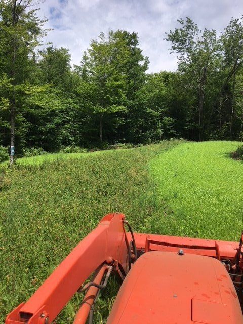 Food Plot Maintenance Services in VT & Northern NH