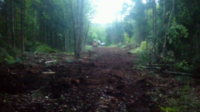 Food Plot services in Vermont & Northern NH