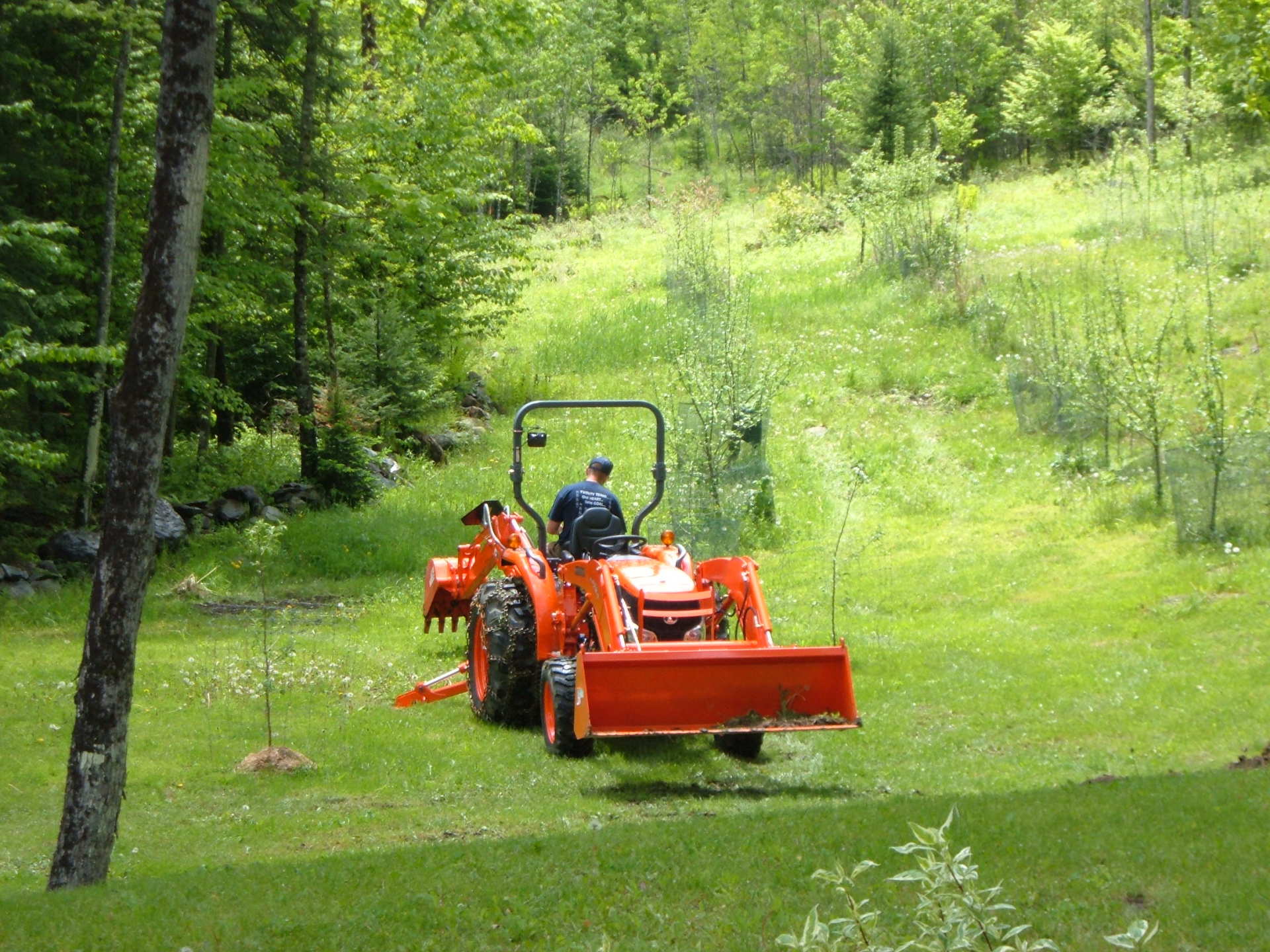 VT Land Management Services