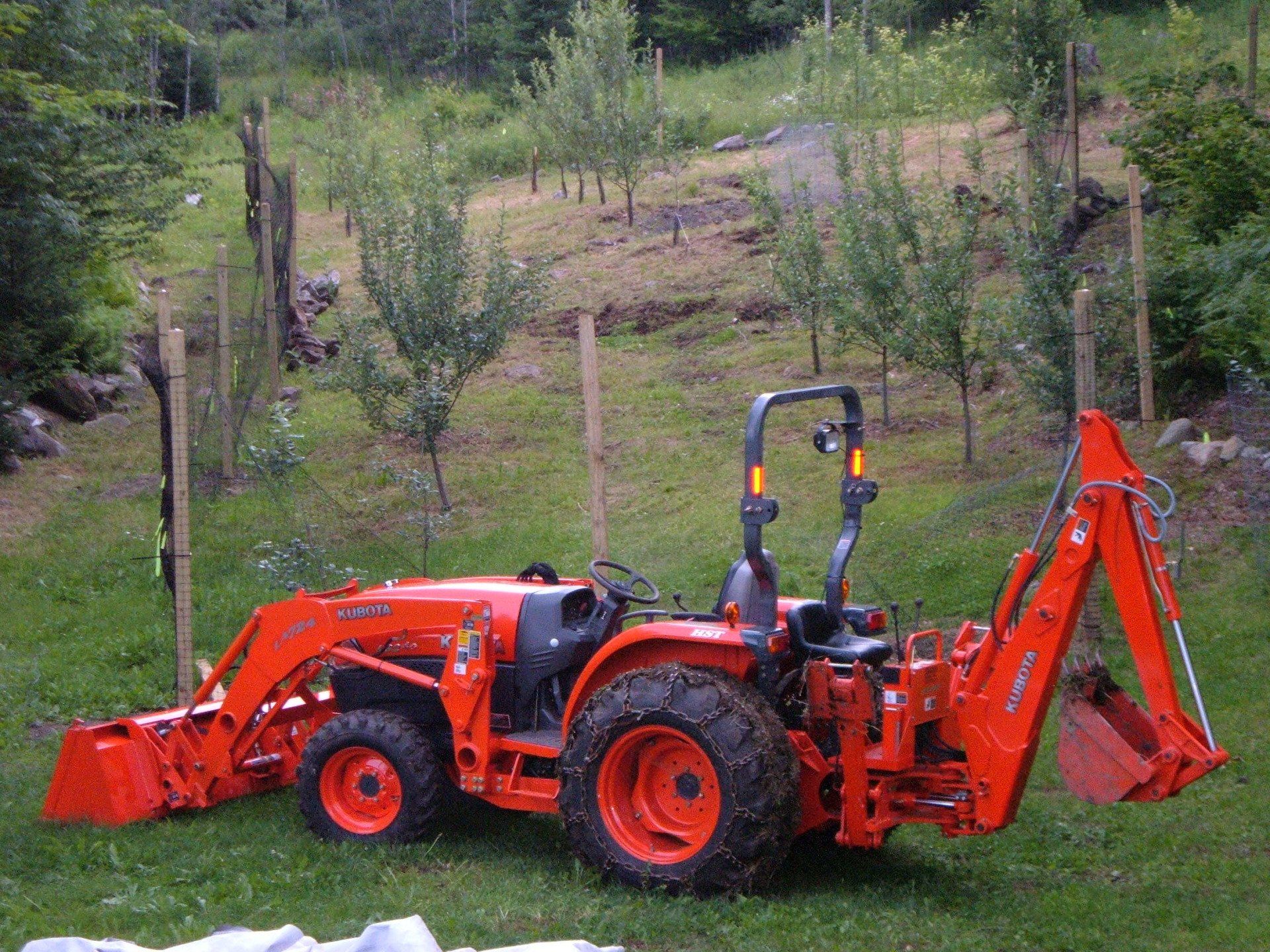 Seasonal Apple Tree Pruning services in VT & Northern NH