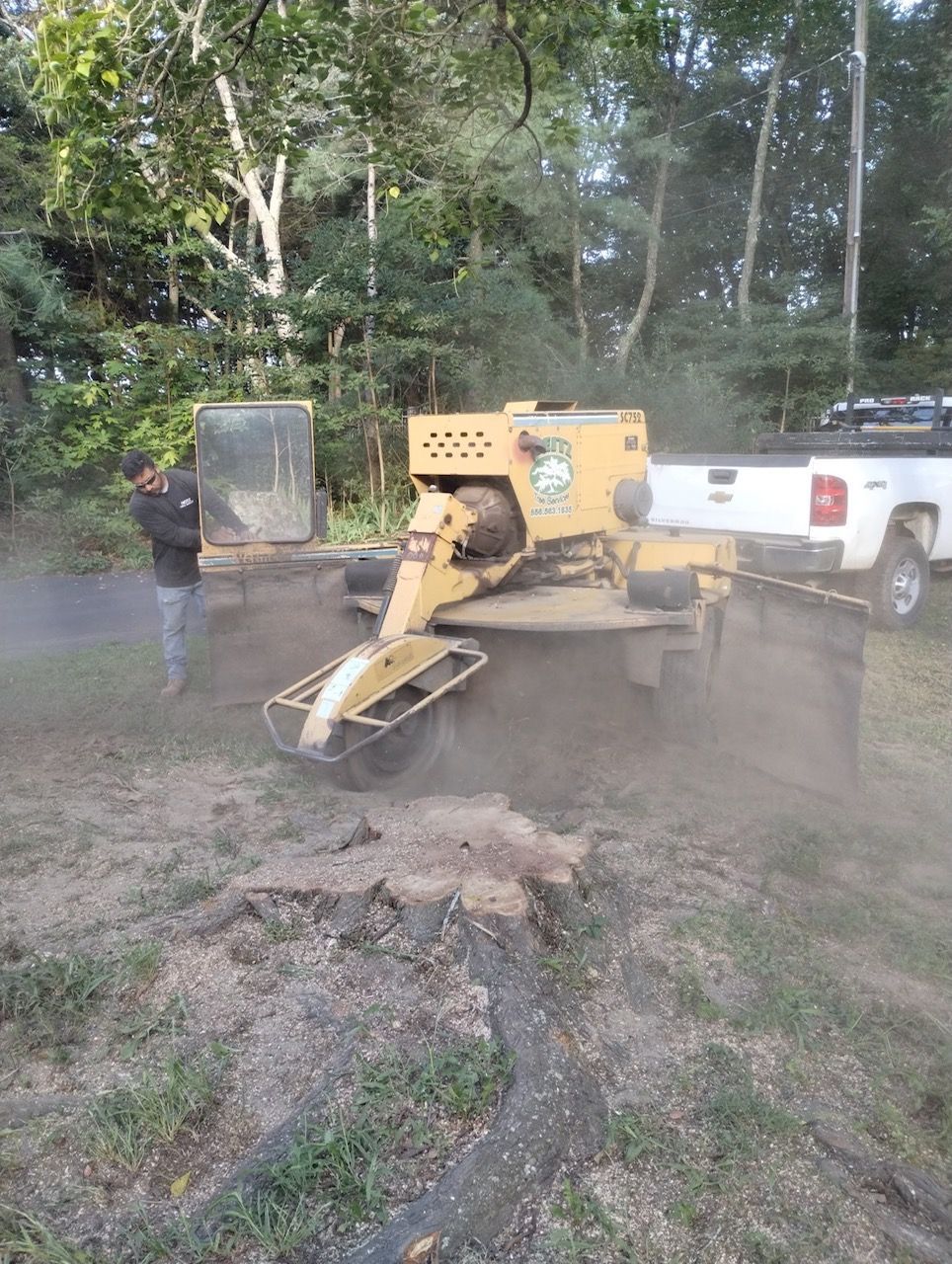 Heitz Tree Service stump grinding in progress