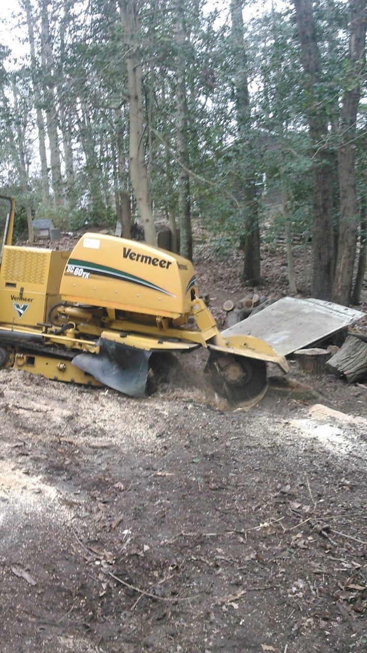 Heitz Tree Service stump grinding equipment at work