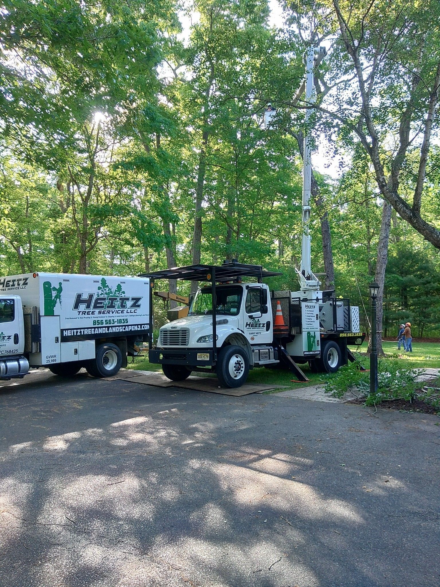 Heitz Tree Service crew trimming trees