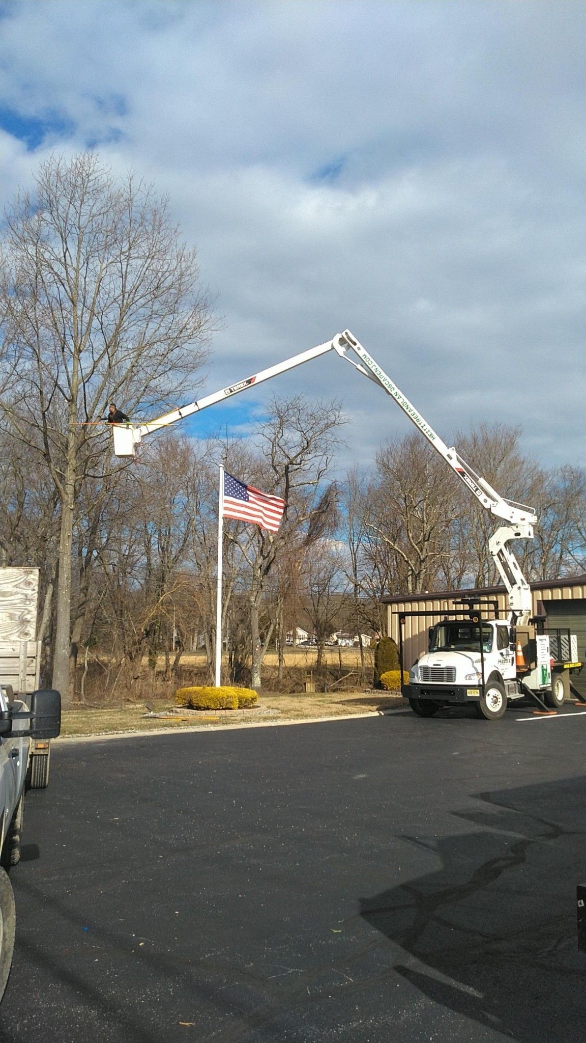 Expert tree trimming service by Heitz Tree Service