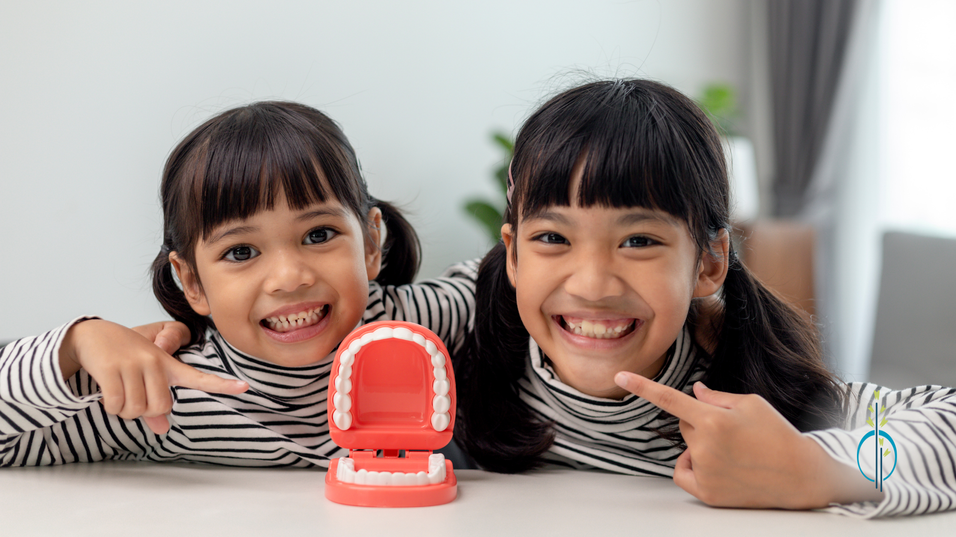 Two little girls are sitting at a table with a model of teeth.